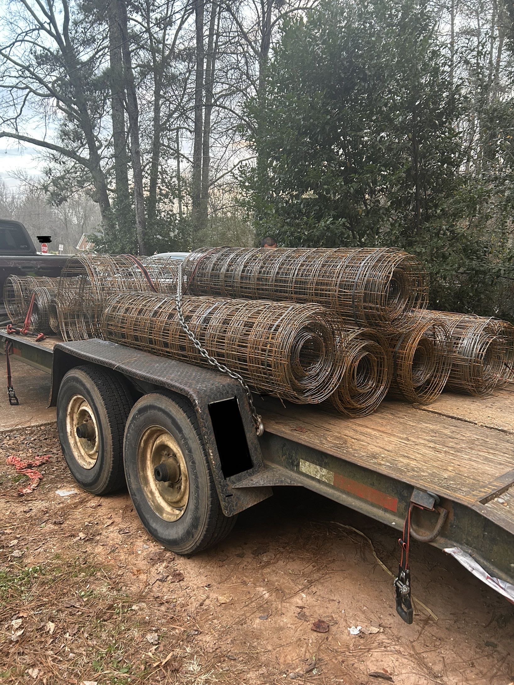 Wire Mesh 