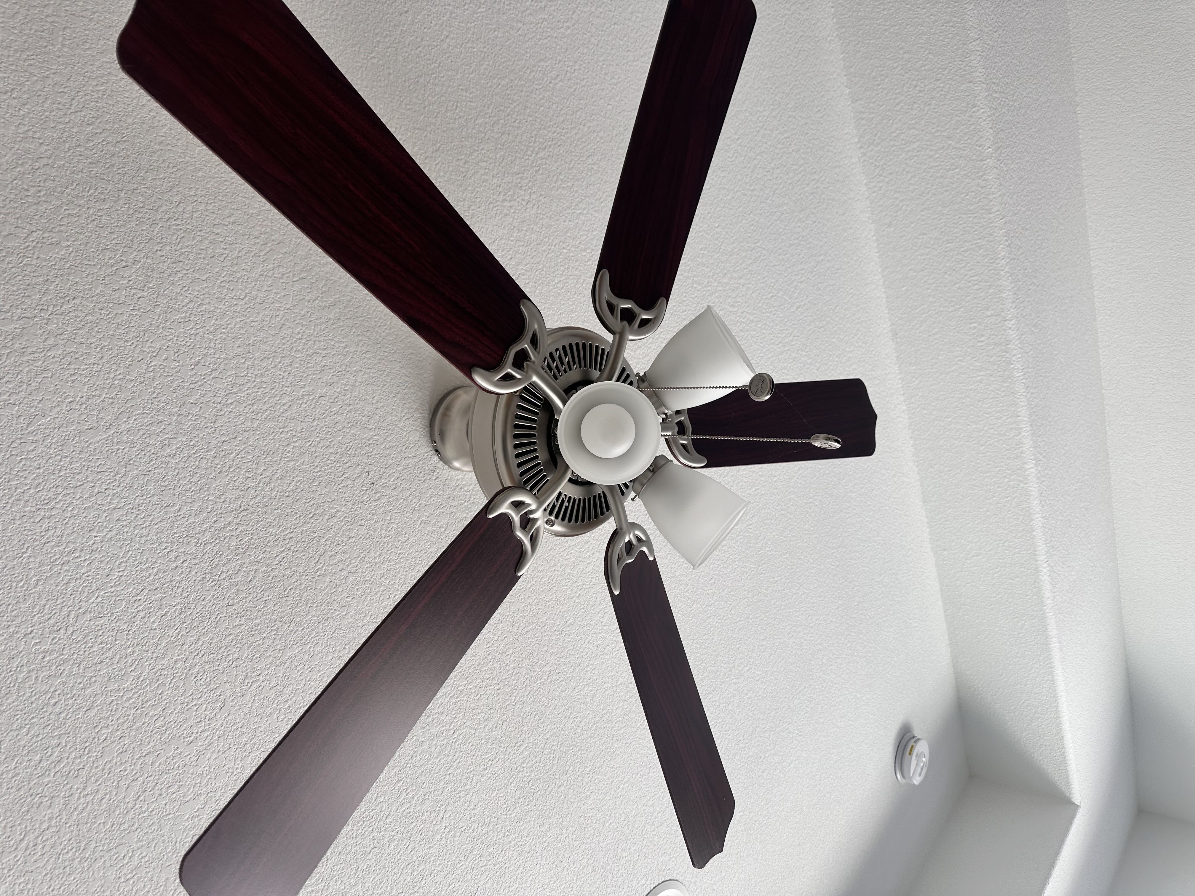 Ceiling fan and light 