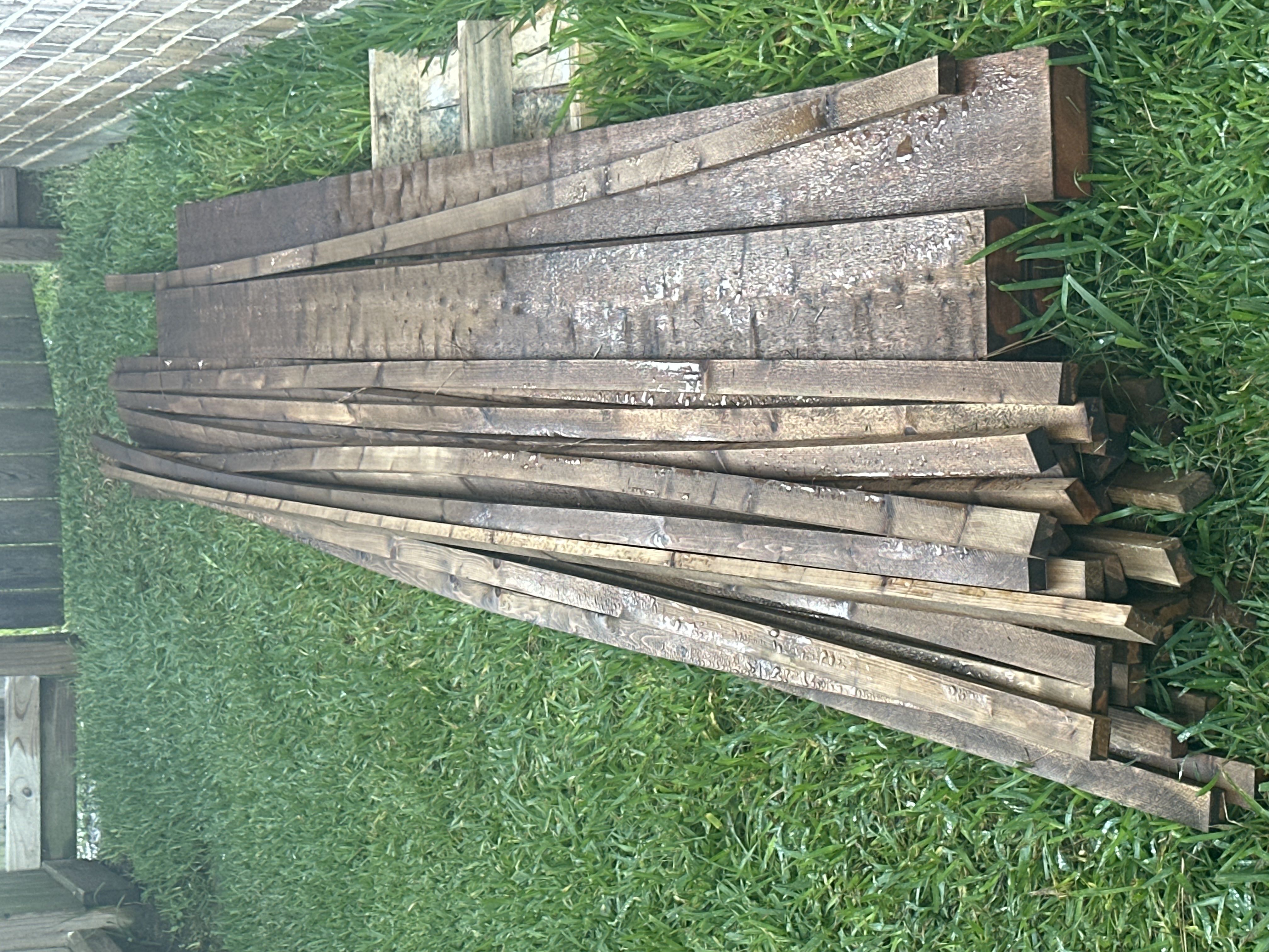 Cedar 