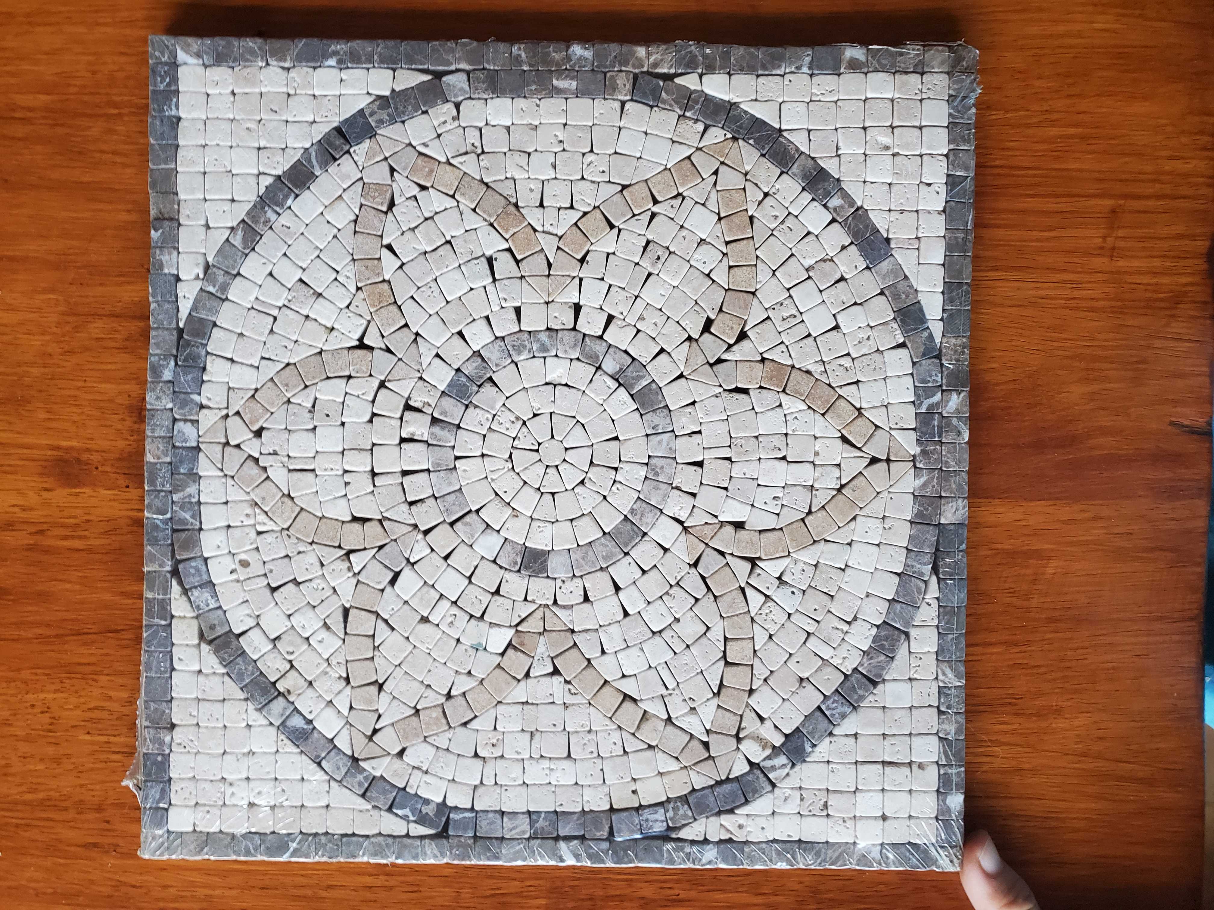 12in x 12in Decrotive Style Floor/Wall Tile