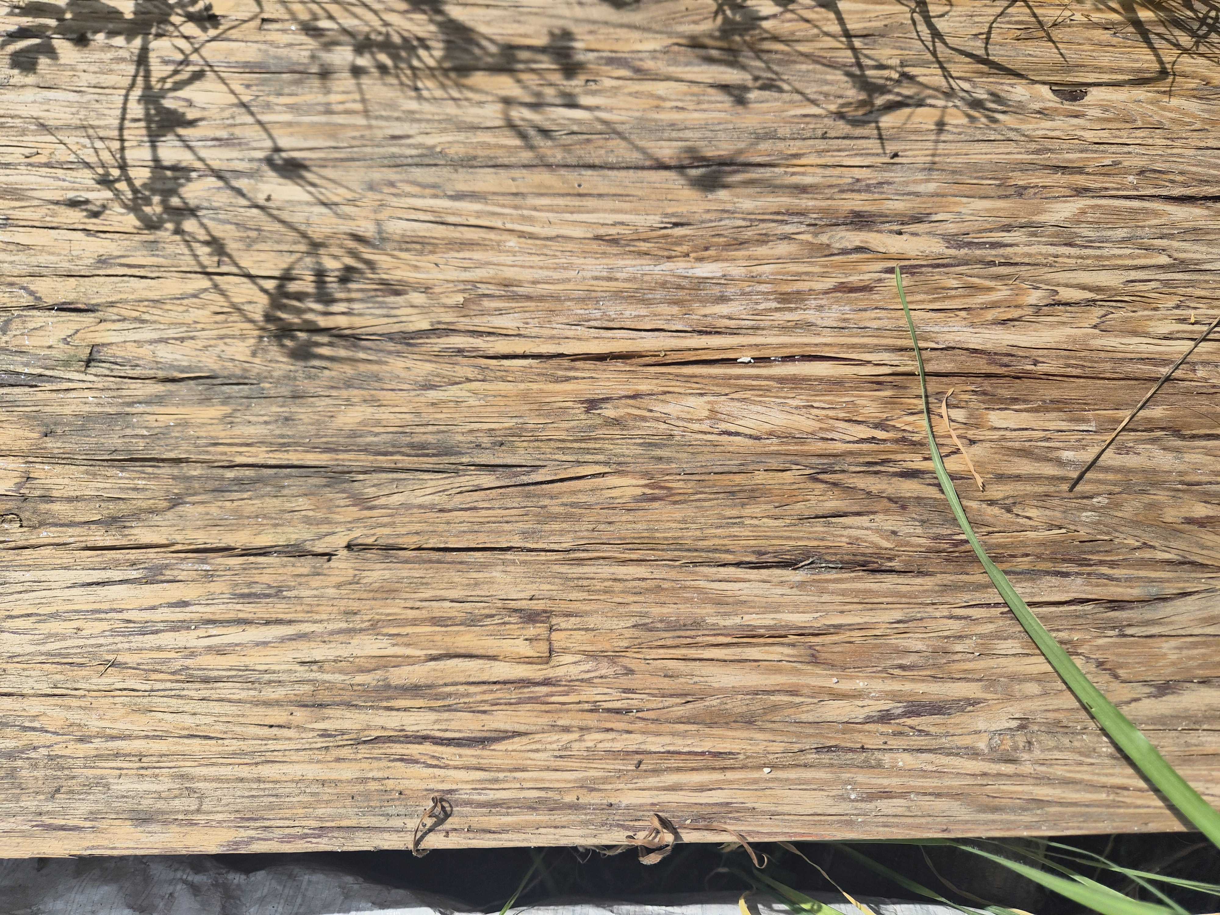 Large structural beam