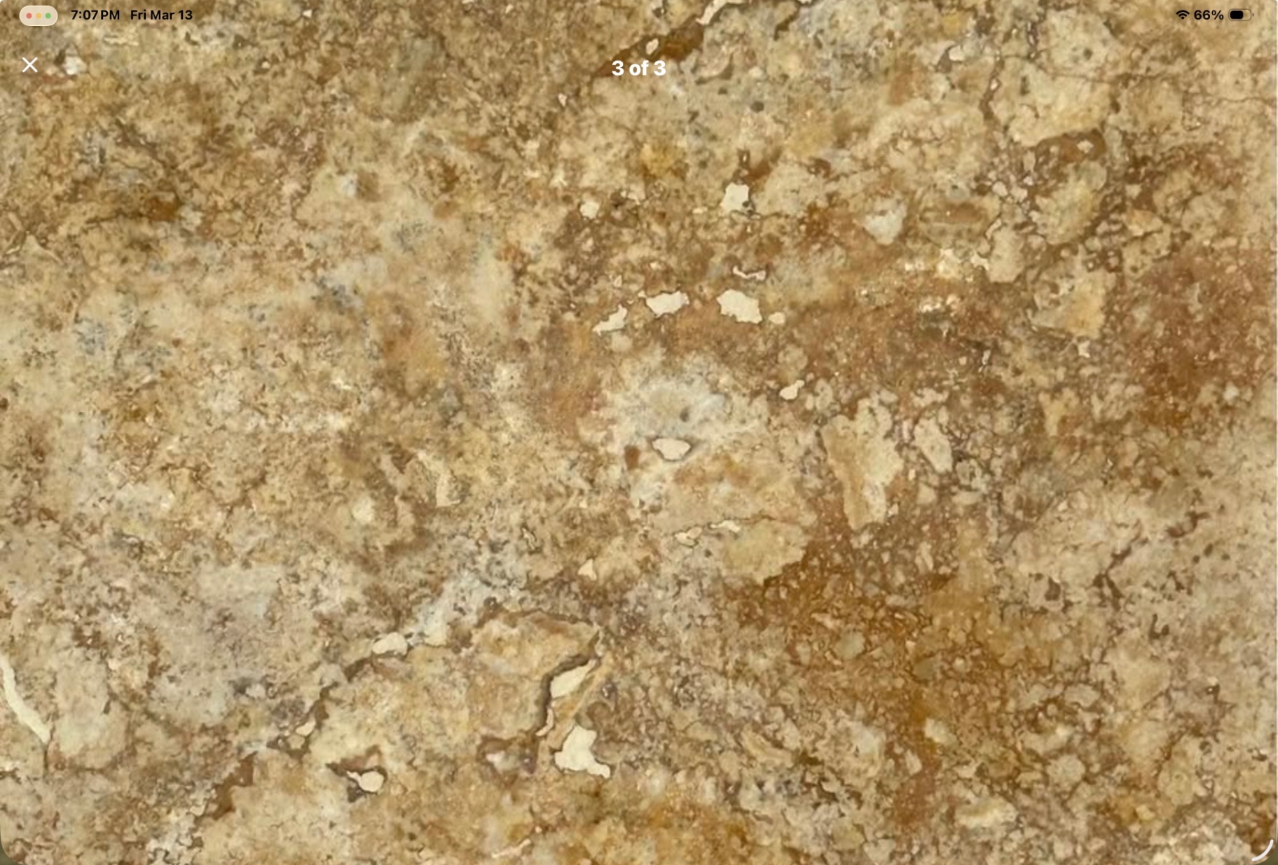 GOLD TRAVERTINE