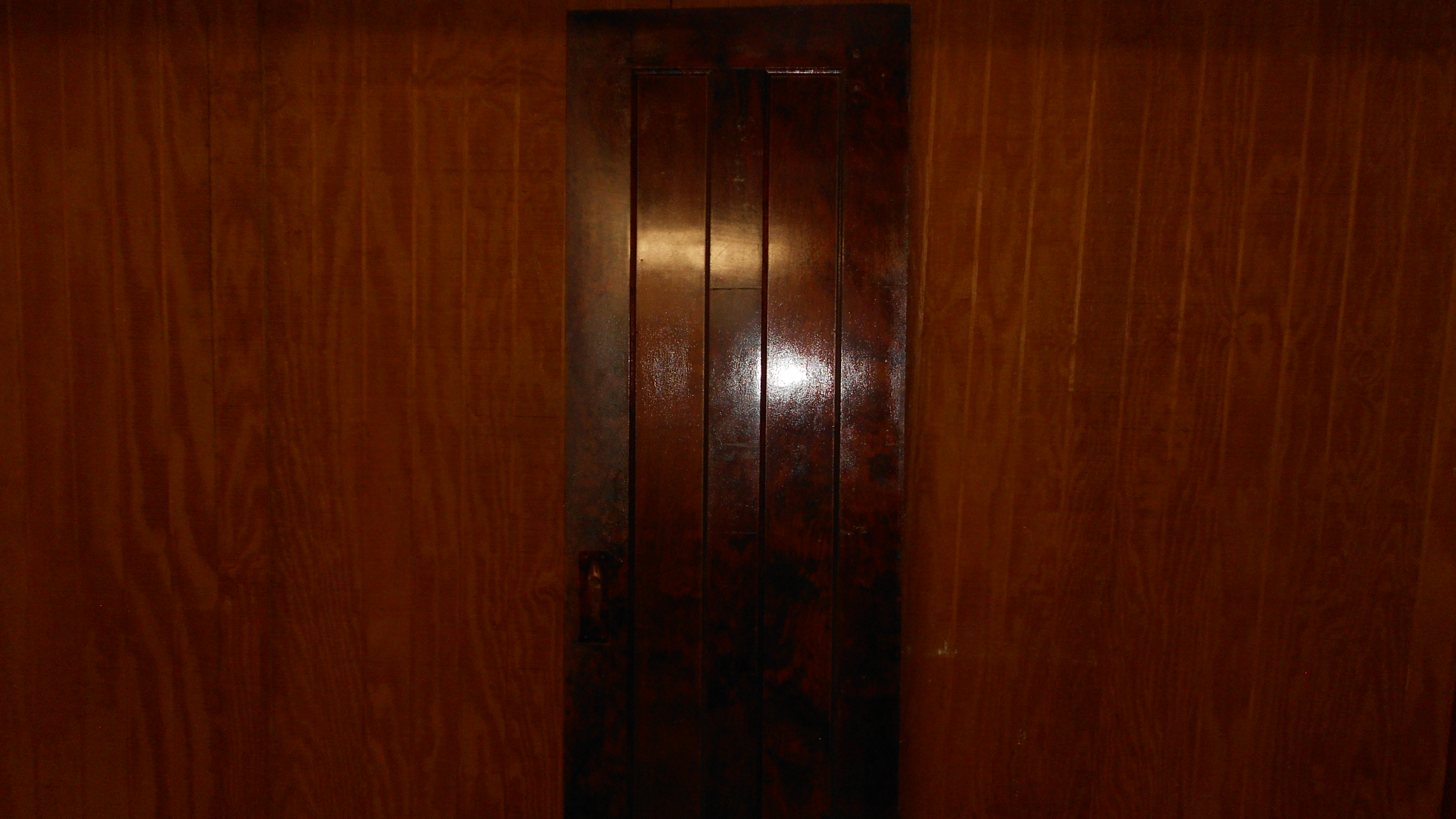Interior Birch Wood Doors from the 1920s. $175 Each